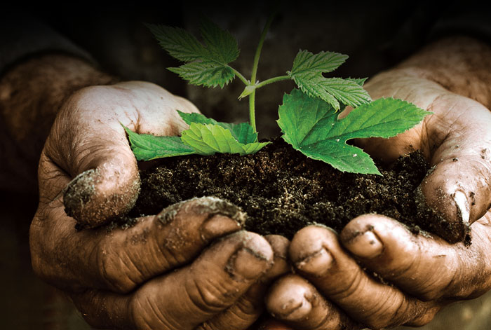 تقنية eqo.x - طلاء قابل للتحلل بالكامل