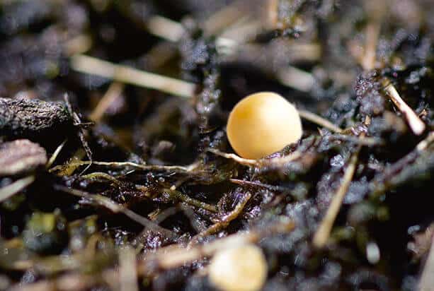 کود کنترل رهش هوشمند - تصویر ۳